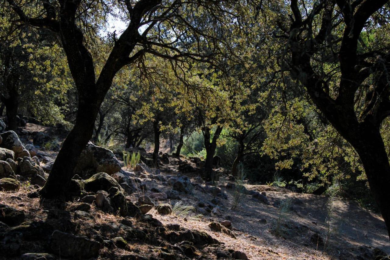 La Costanilla De Los Angeles Navalcan Bagian luar foto
